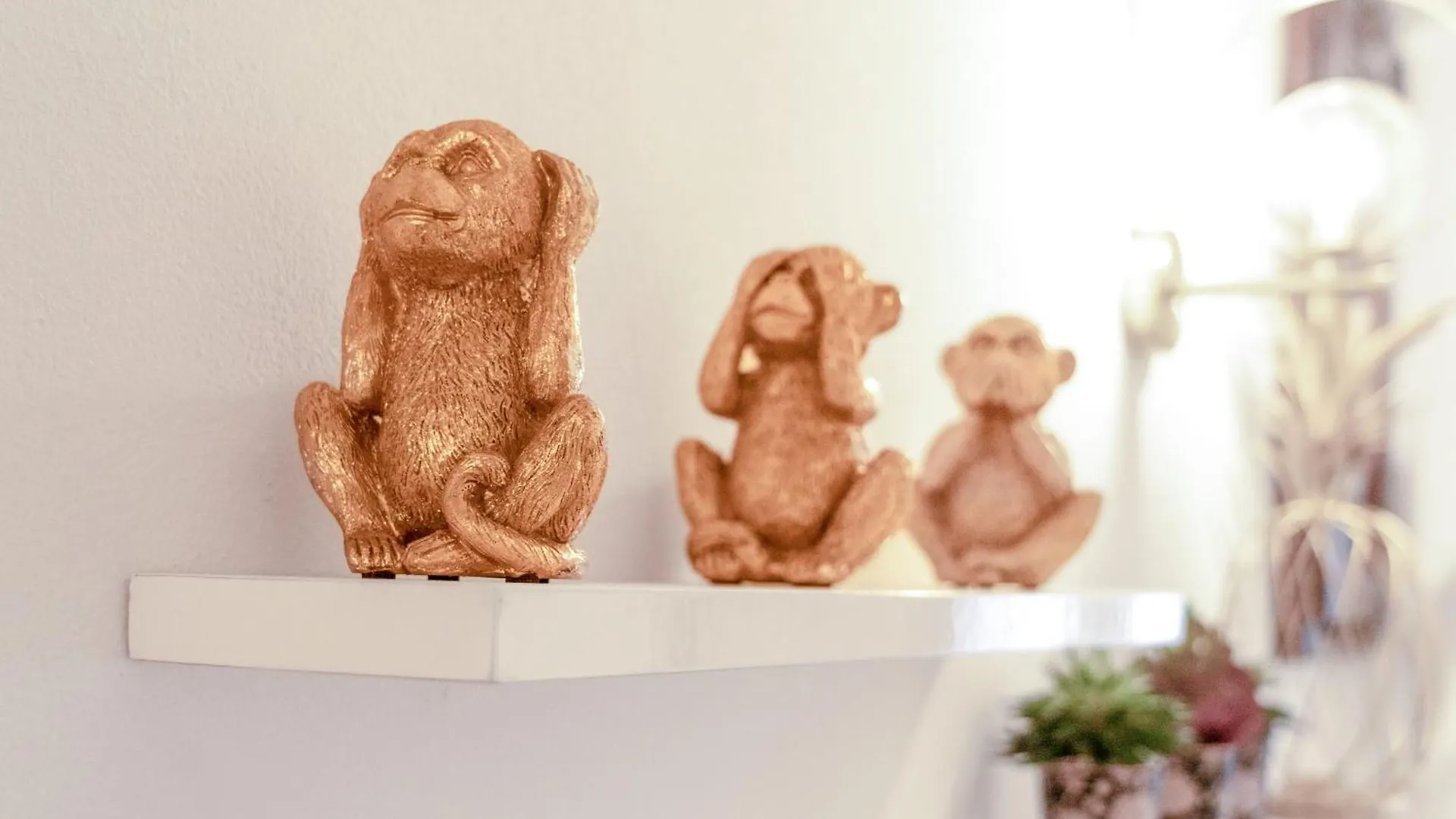 Appartamento Centro Storico Pepi 22 Firenze Itálie